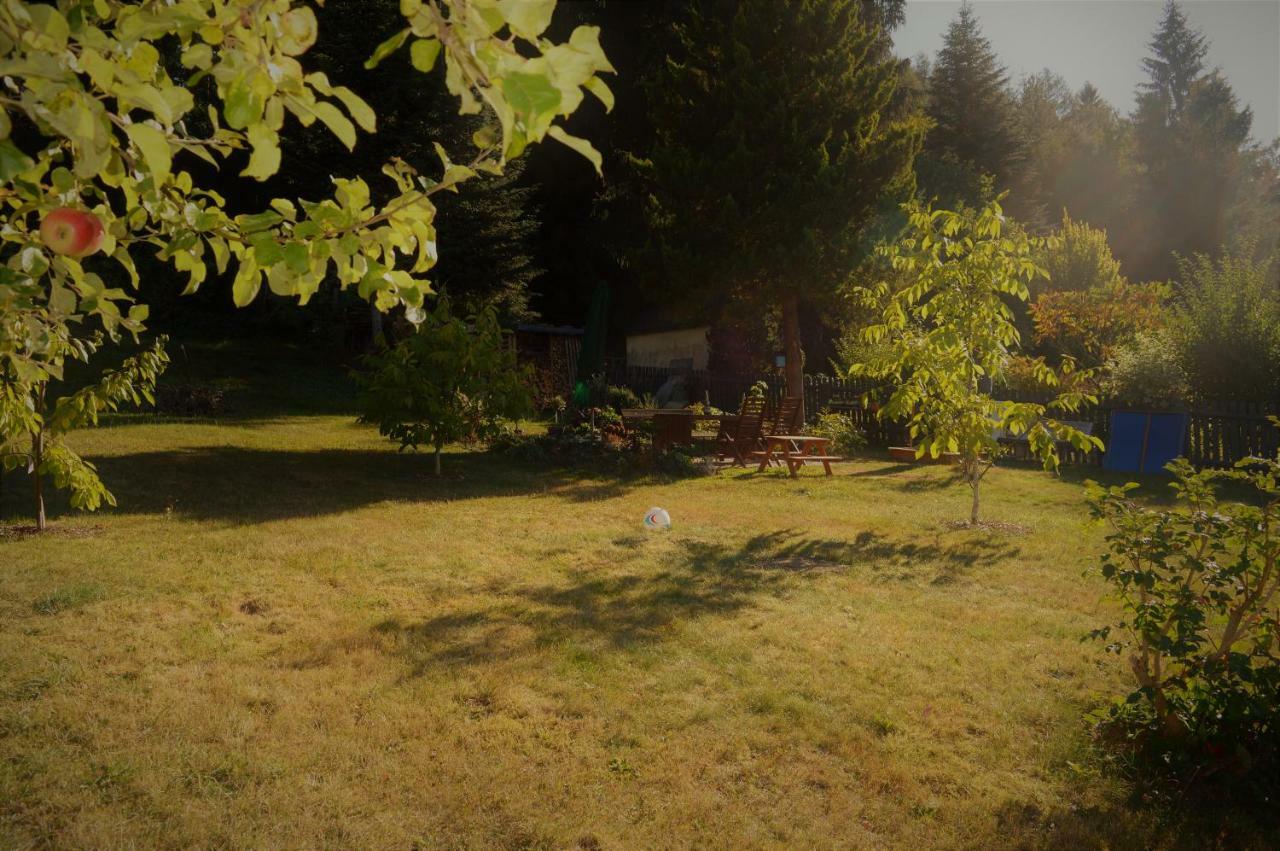 Deine Ferienwohnung Falkenstein  Екстер'єр фото
