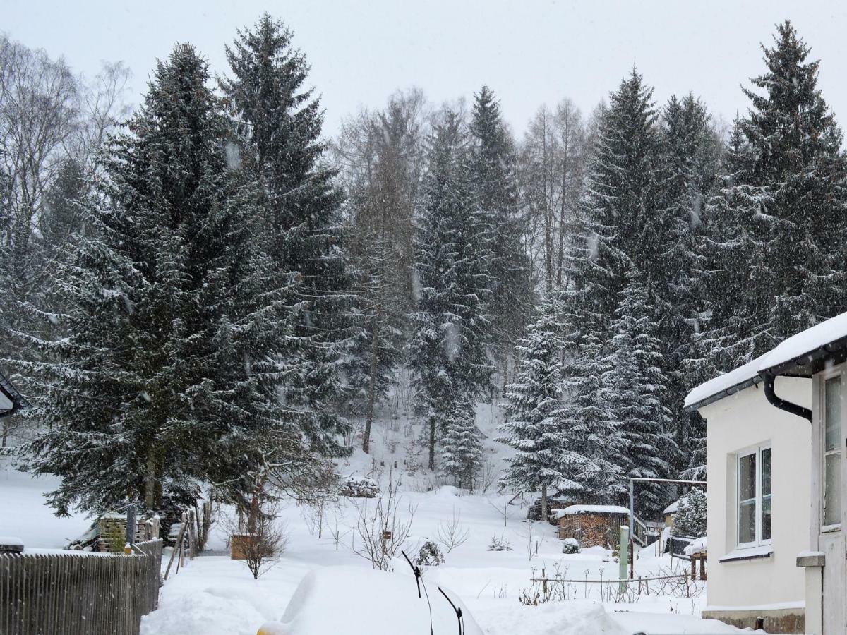 Deine Ferienwohnung Falkenstein  Екстер'єр фото