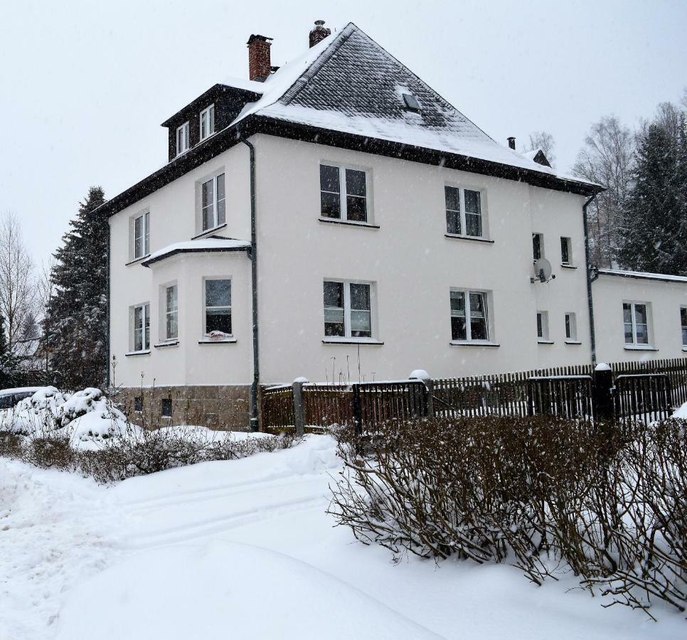 Deine Ferienwohnung Falkenstein  Екстер'єр фото